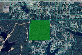 Cypress Lake 38 Acres
