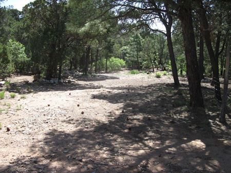 Photo of commercial space at 1 Owl Rd in Tijeras