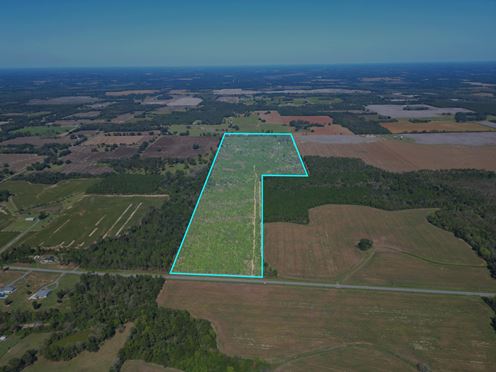 101± Acre Timber Investment with Slash Pine, Hardwoods & Hunting Near Graceville