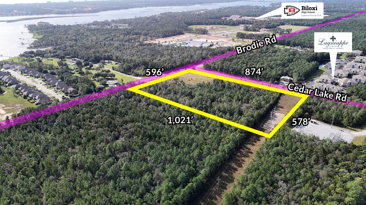 11.77 Acres on NEC of Cedar Lake / Brodie