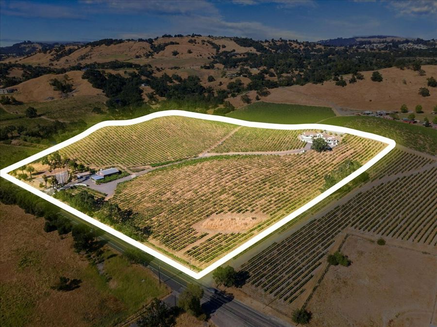 Knoll-Top Vineyard Estate with Tasting Room