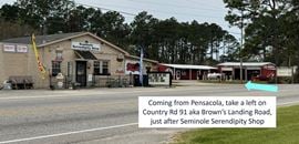 27.8 Acres Unzoned Property in Seminole, Al