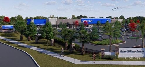 Ocoee Village Center