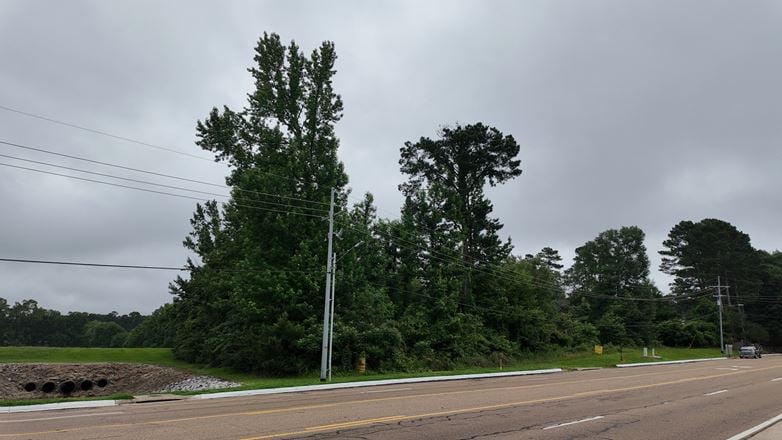 +/- 3.86 Acres For Sale - Ridgeland, Mississippi