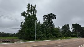 +/- 3.86 Acres For Sale - Ridgeland, Mississippi