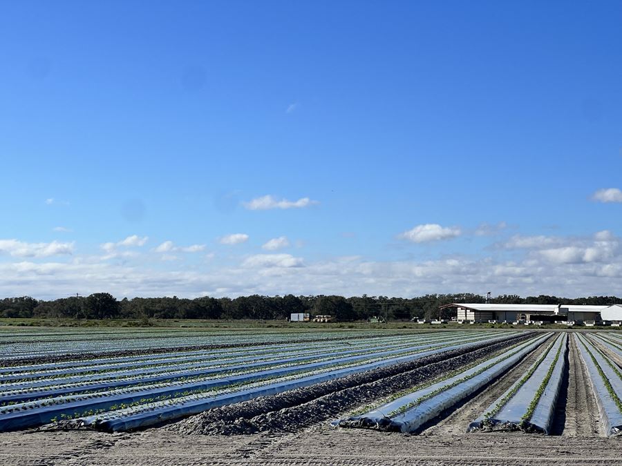 Hyatt Farms at Lake Kissimmee 1,660 +/- Acres