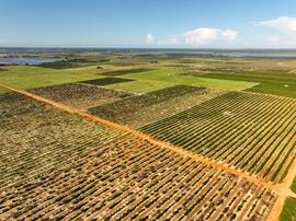 Auction - 584 Acres in Polk County