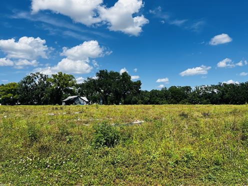 Plant City East Trapnell Transitional 17 Acre