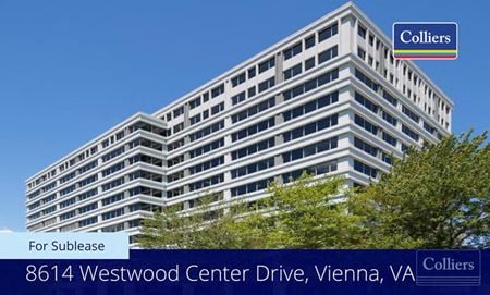 Office space for Rent at 8614 Westwood Center Dr 11th floor in Vienna