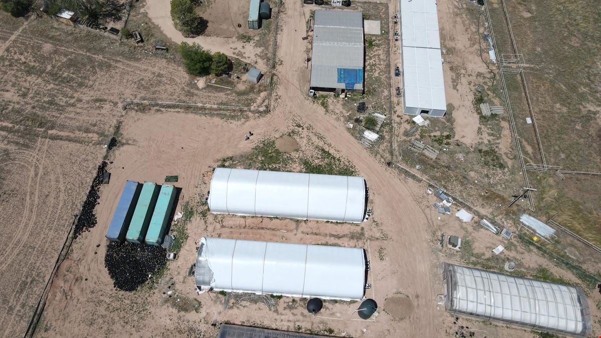 160 Acre Cultivation Farm With Turnkey Infrastructure