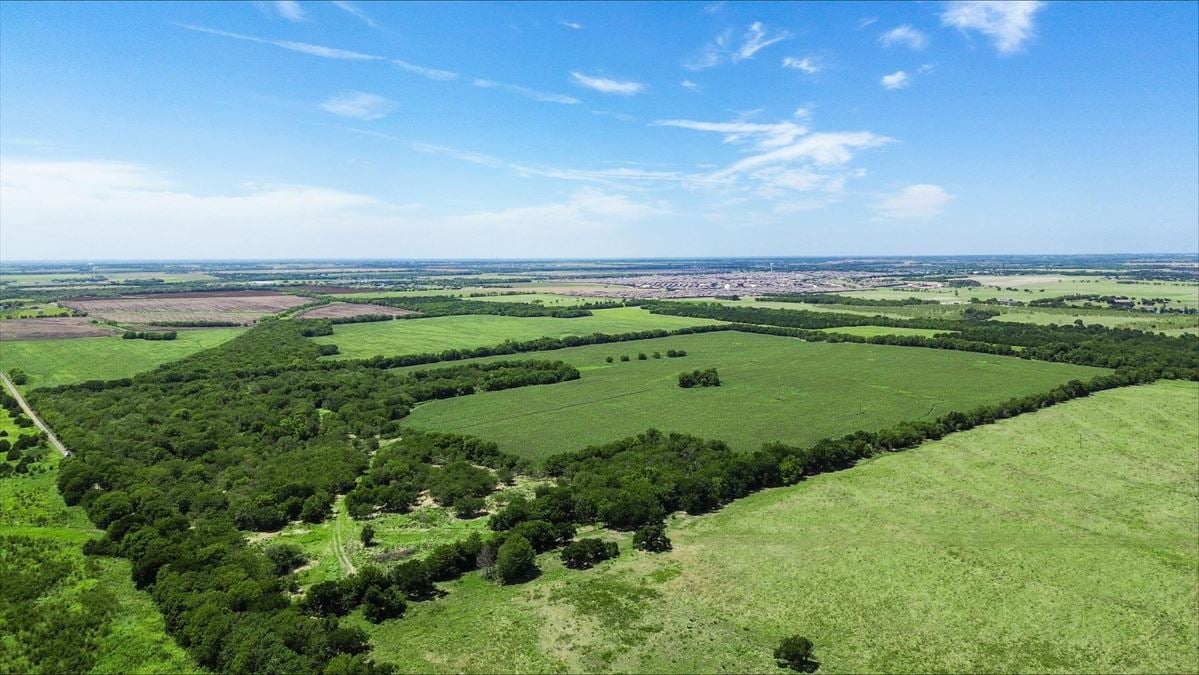 55 Acres for Sale in Royse City