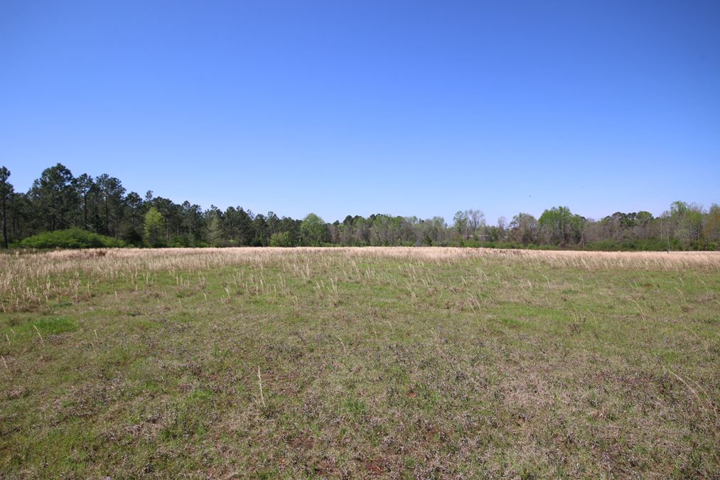 Dawson GA Commercial Land