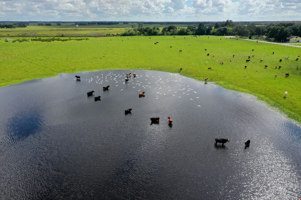West Lake Wales Residential or Commercial or Industrial Acreage