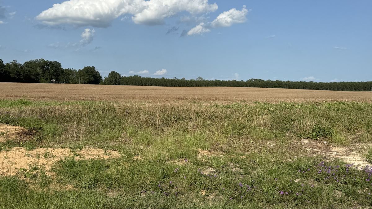 3- 4.16 acre tracts- Hwy 71 & Mission Road