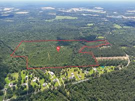 ±95.62 Acres of Rural Land in Greenwell Springs
