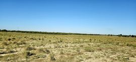 40.67± Secluded Acres Estate or 5-Acre Homesites