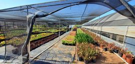 22.86 Acres of Land with 3 houses and greenhouses in Bonsall