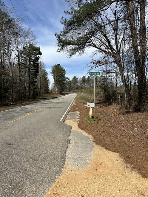 Hank Williams Road Hunting and Timber