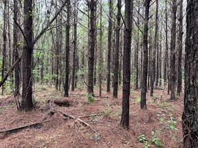 Fox Pen Tract