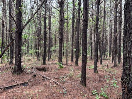 VacantLand space for Sale at Halso Mill Road in Greenville