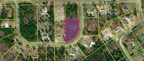 Hartsville Subdivision Allowing Maximized Infill Modular/Workforce - Buyer Due Diligence