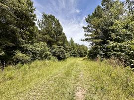 Dupree Tract