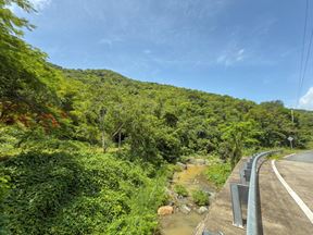 Cayey Land 173 Acres