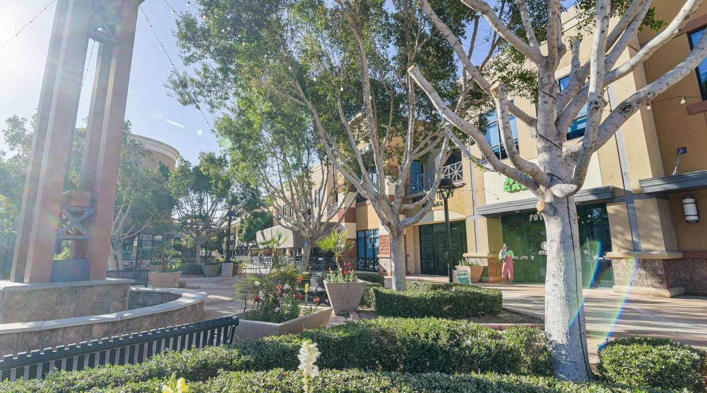 Citadelle Center Image 8